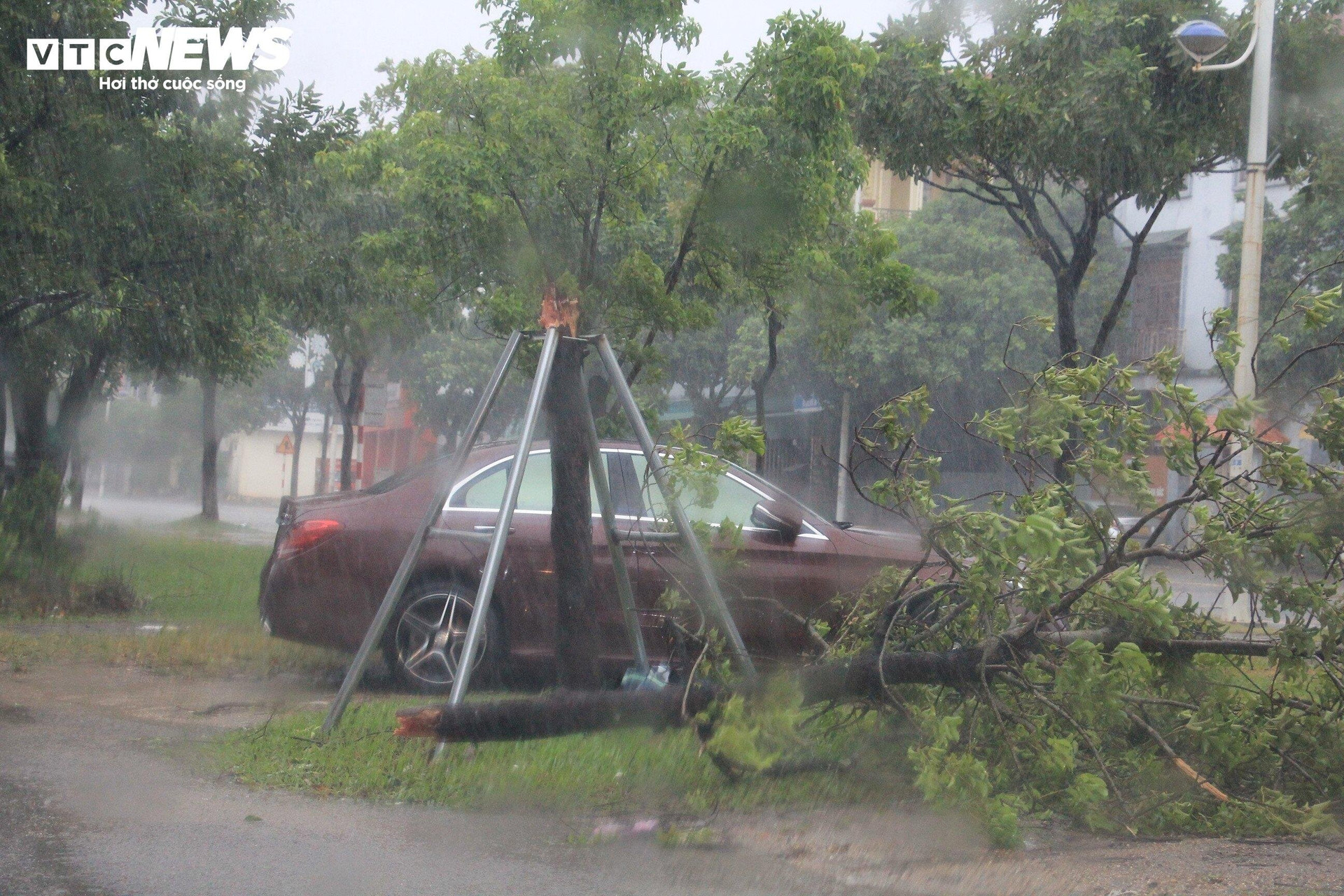 TRỰC TIẾP: Bão Yagi áp sát Quảng Ninh, mưa gió giật kinh khủng, cây đổ la liệt - 8