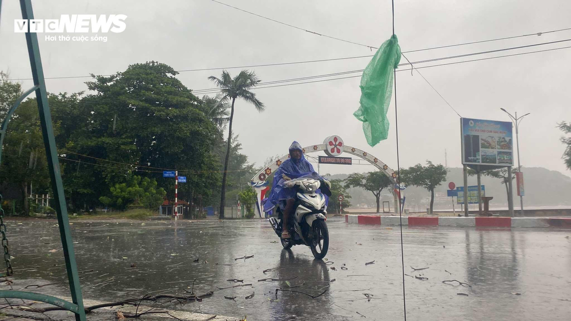 TRỰC TIẾP: Bão Yagi áp sát Quảng Ninh, mưa gió giật kinh khủng, cây đổ la liệt - 4