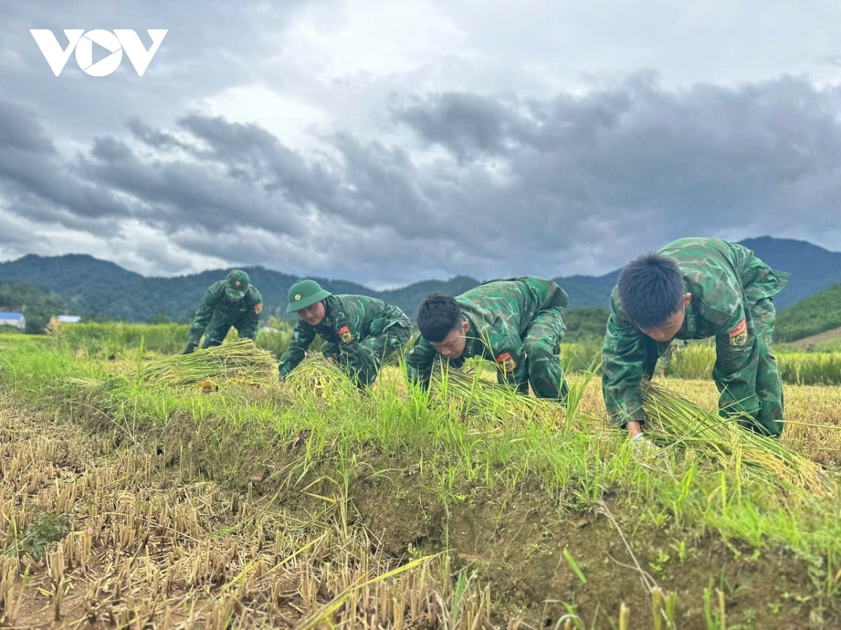 truc tiep bao so 3 gay thiet hai nang ne tai quang ninh hinh anh 93