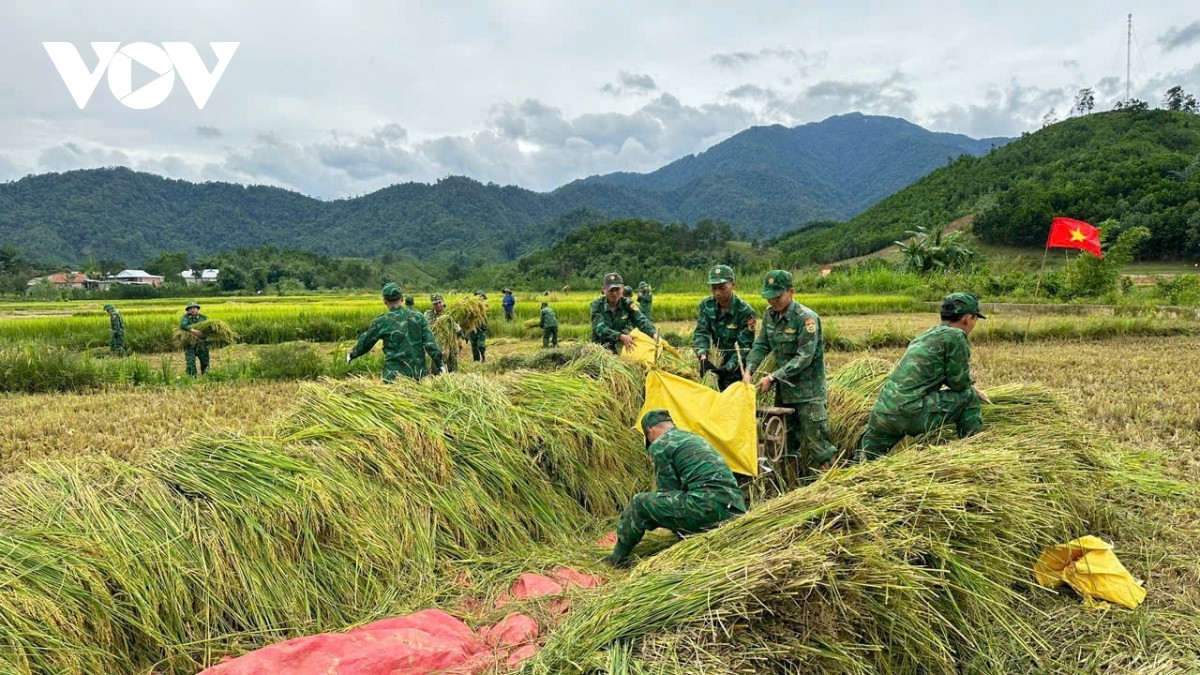 truc tiep bao so 3 gay thiet hai nang ne tai quang ninh hinh anh 10