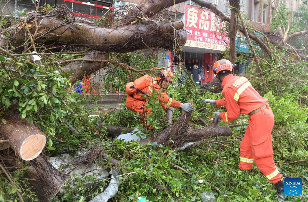 Hơn 2.200 nhân viên được huy động để khôi phục điện lưới cho khoảng 1,5 triệu hộ gia đình bị ảnh hưởng.