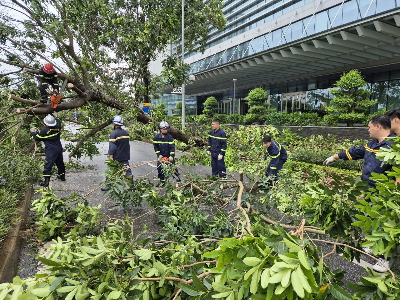 Công an quận Bắc Từ Liêm cắt cây đổ sau bão, đảm bảo an toàn cho người dân, giúp các phương tiện dễ dàng lưu thông.