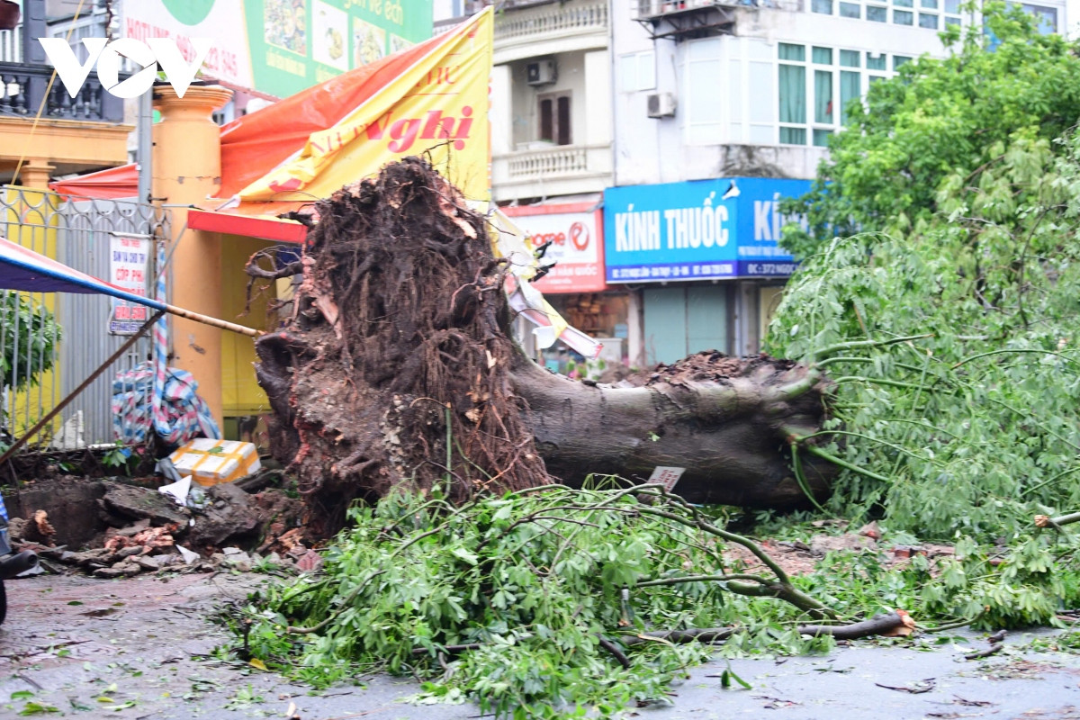 truc tiep ha noi, quang ninh va cac dia phuong len phuong an khac phuc hau qua bao so 3 hinh anh 6