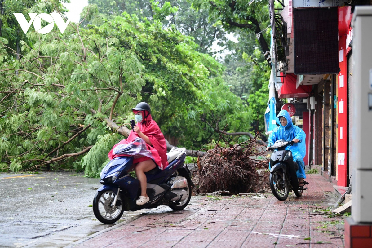 truc tiep ha noi, quang ninh va cac dia phuong len phuong an khac phuc hau qua bao so 3 hinh anh 7