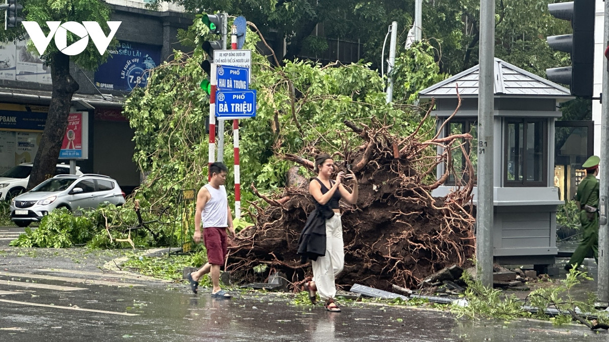 ha noi se thu don cay do boi bao so 3 trong 24h hinh anh 7