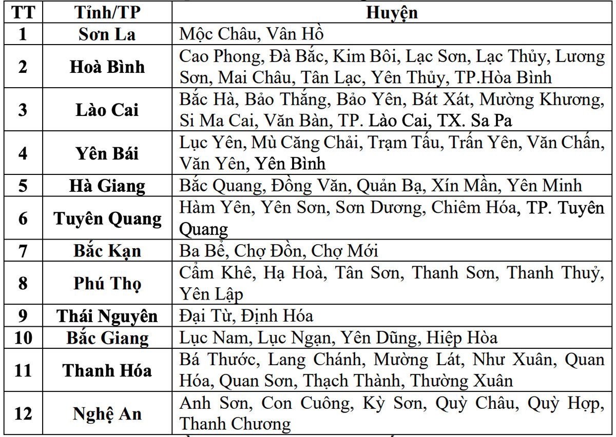 Danh sách các khu vực có nguy cơ lũ quét, sạt lở đất đá trong những giờ tới. (Nguồn: NCHMF)