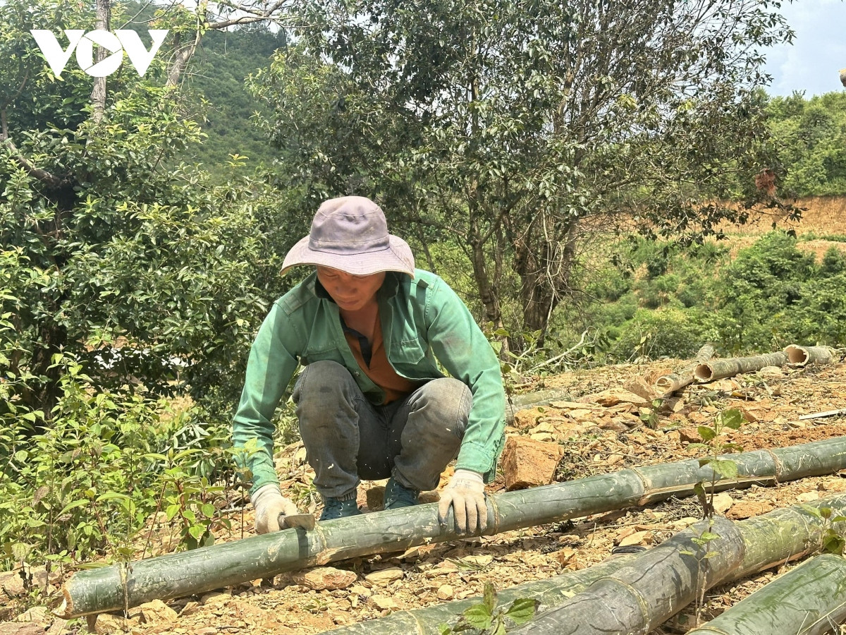 ngay dem dung lan trai, di chuyen dan khoi vung nguy co sat lo o son la hinh anh 10