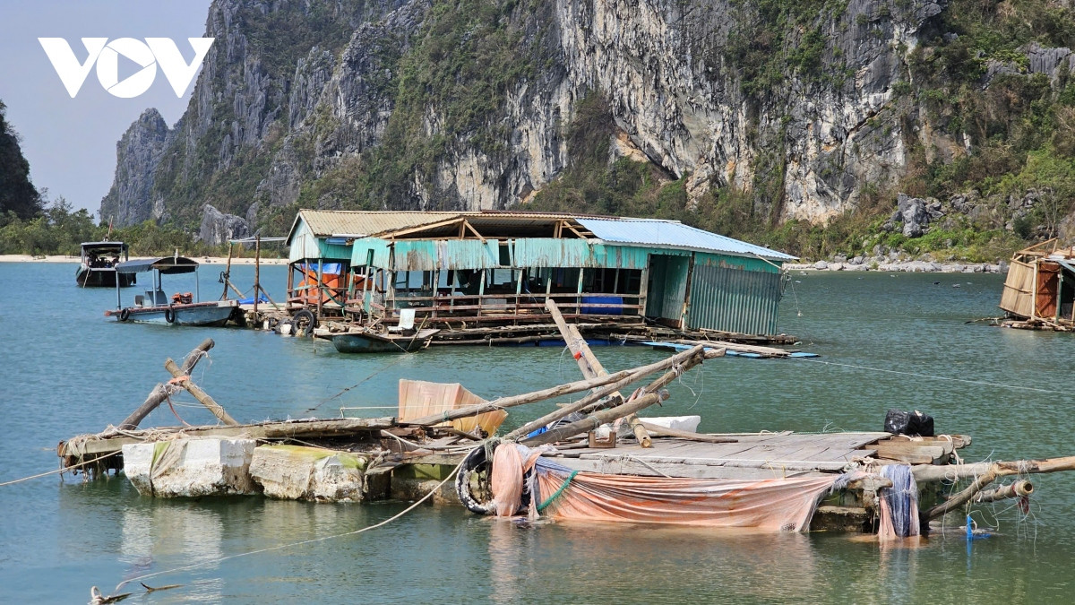 quang ninh danh 1.000 ty dong tiet kiem chi thuong xuyen khac phuc hau qua bao hinh anh 2