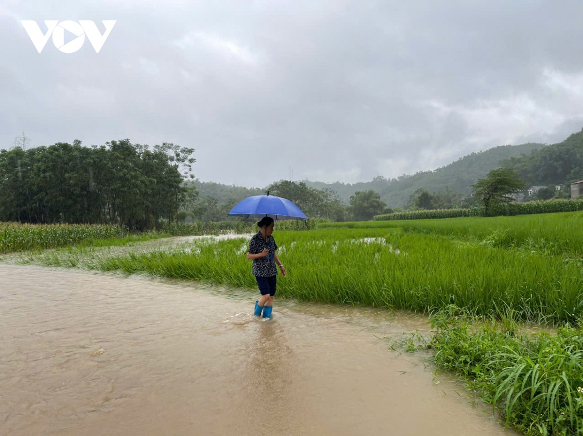 bac kan cong bo tinh huong khan cap ve thien tai tren toan tinh hinh anh 3