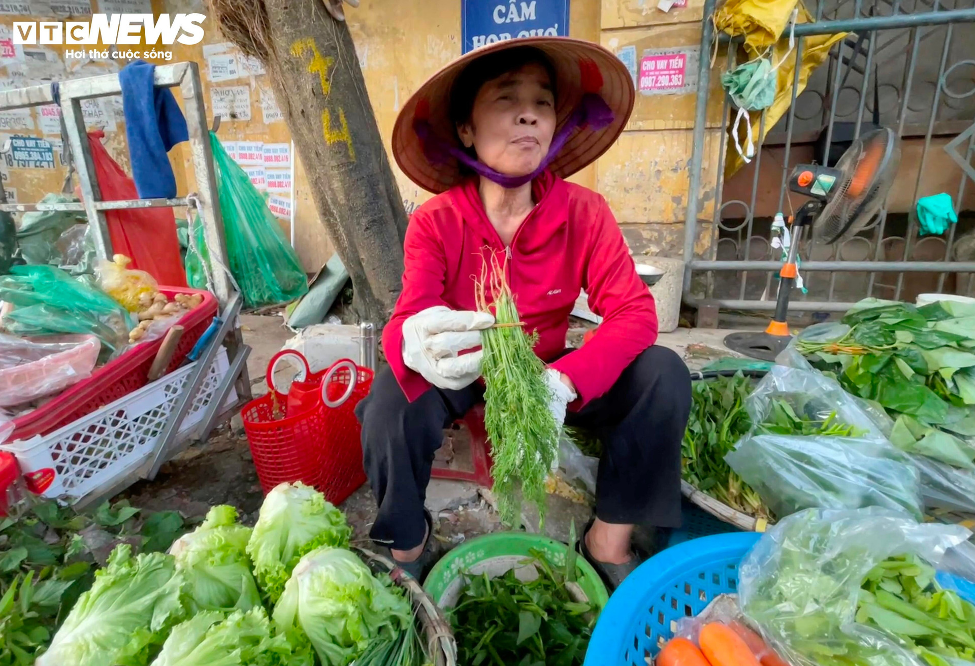 Cầm trên tay mớ thì là giá 5.000 đồng, bà Dung bảo có 5 cây thì là, tức là mỗi cây 1.000 đồng.