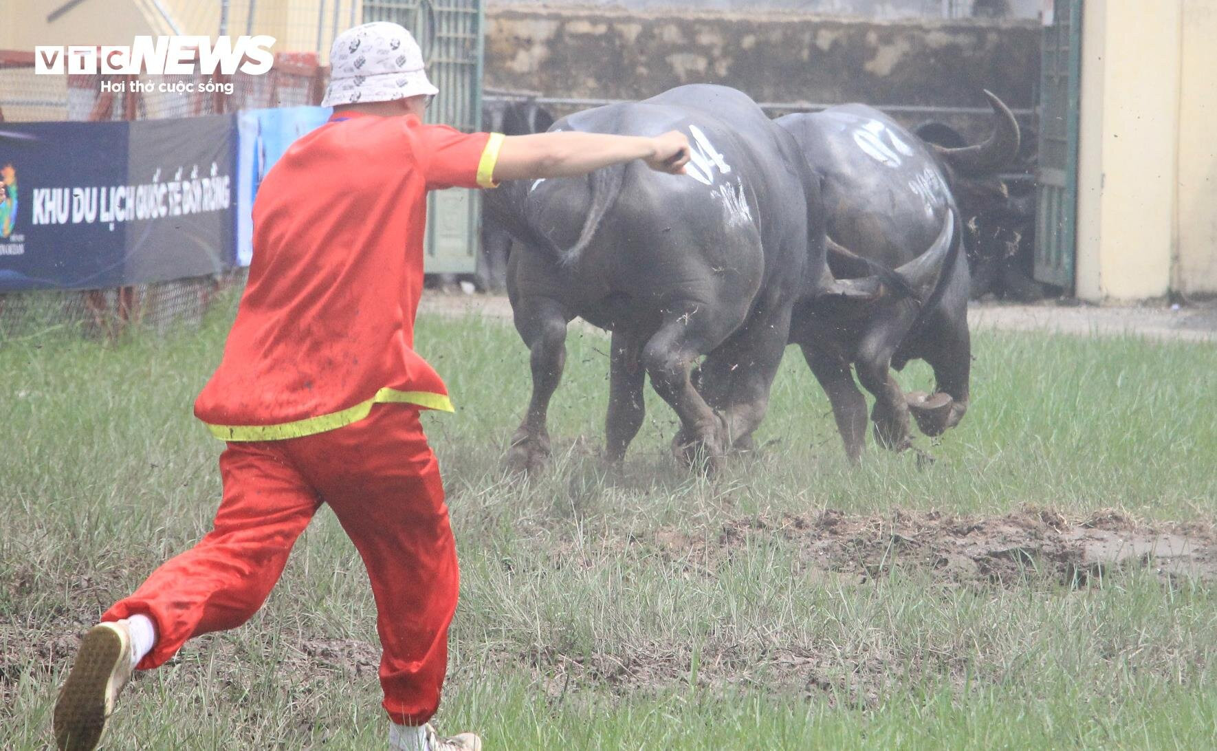 Sau gần 7 phút tranh tài, trâu số 04 với nhiều pha đánh hiểm hóc, dũng mãnh khiến trâu số 07 phải bỏ chạy khỏi sân đấu. 