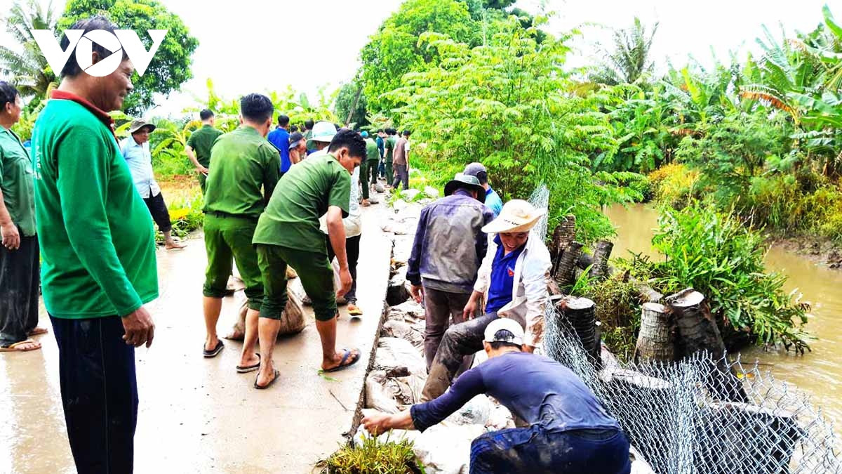 tinh hinh sat lo bo song o soc trang dien bien kho luong hinh anh 2