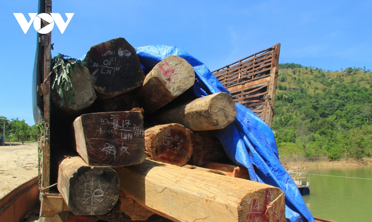 bảo vệ rừng vùng giáp ranh ở nơi có diện tích rừng lớn nhất tây nguyên hình ảnh 2 bao ve rung vung giap ranh o noi co dien tich rung lon nhat tay nguyen hinh anh 2