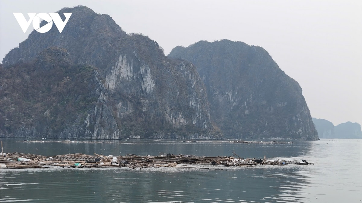 quang ninh phan dau trong 1 thang thu gom co ban rac tren vinh ha long hinh anh 2