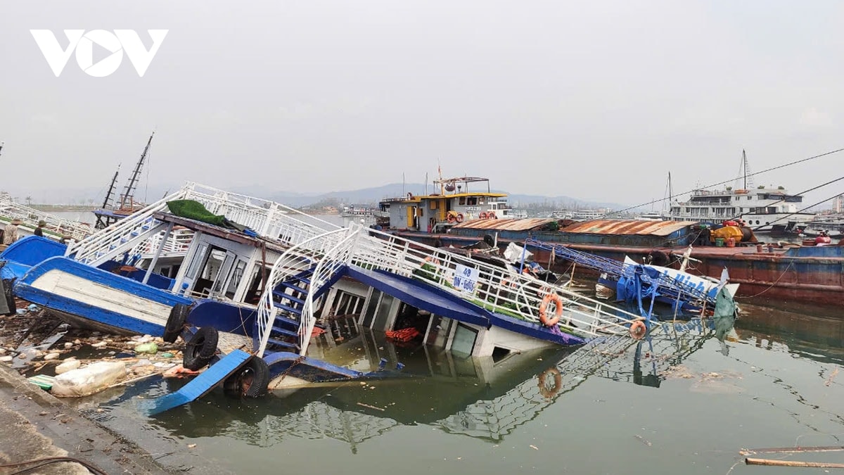 vi sao tau du lich bi dam o quang ninh do bao so 3 chua duoc truc vot hinh anh 1