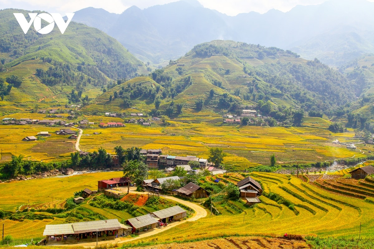 sa pa huong toi tro thanh khu du lich mang tam quoc te hinh anh 3