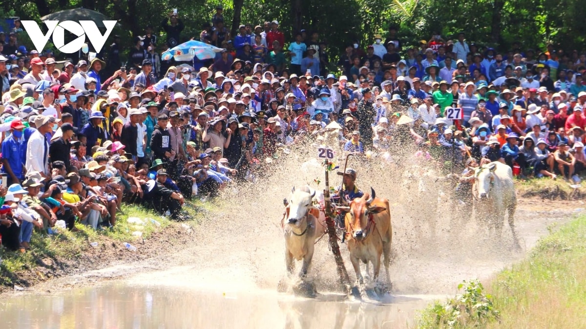 nhung hinh anh an tuong trong hoi dua bo bay nui an giang hinh anh 2