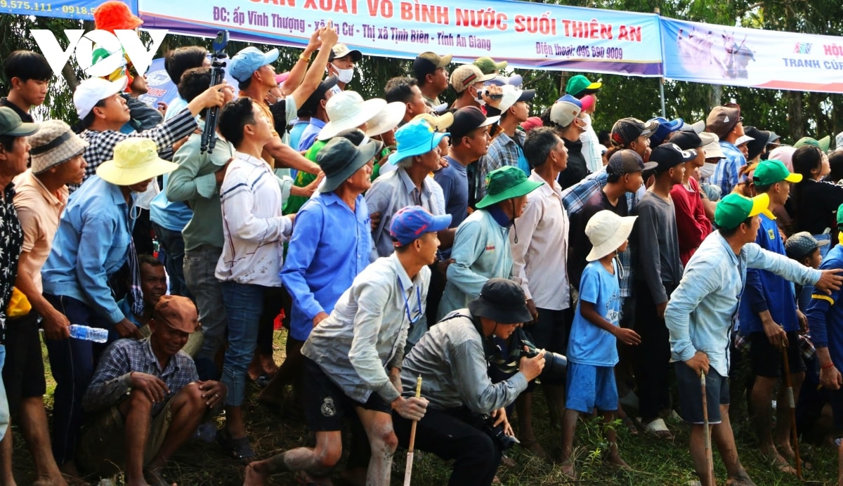 nhung hinh anh an tuong trong hoi dua bo bay nui an giang hinh anh 6