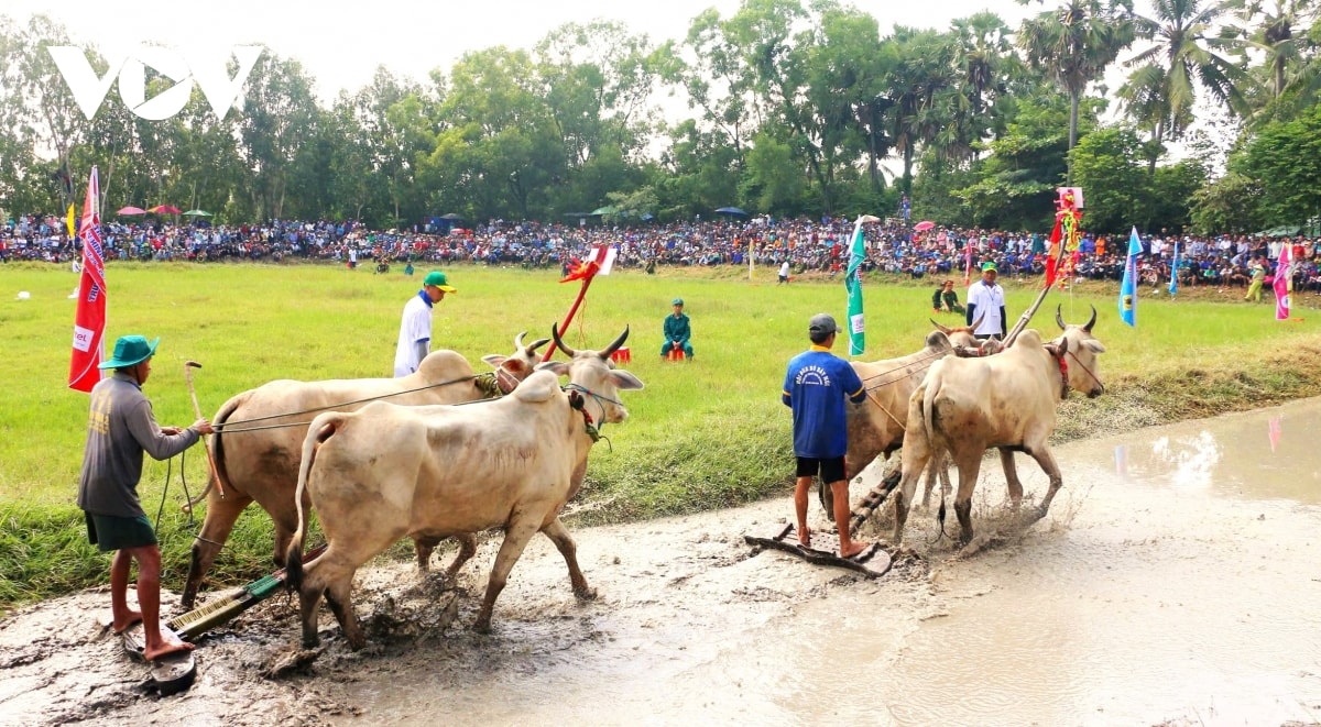 nhung hinh anh an tuong trong hoi dua bo bay nui an giang hinh anh 4