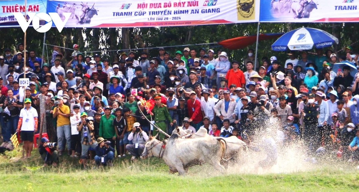 nhung hinh anh an tuong trong hoi dua bo bay nui an giang hinh anh 10