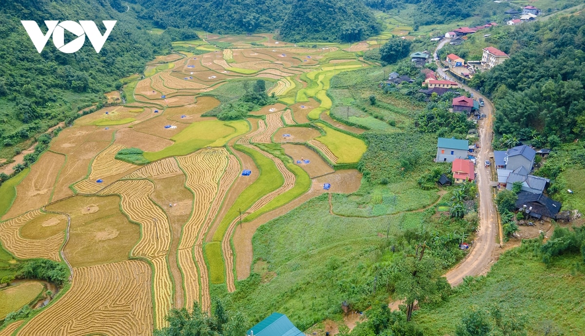 nguyen binh cao bang gan 1 thang sau tham hoa sat lo Dau thuong roi se qua hinh anh 15