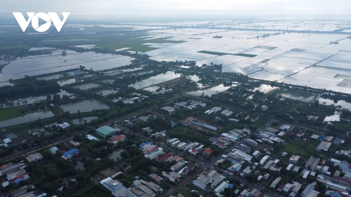 lu dau nguon tai long an da cao hon dinh cua nam 2023 hinh anh 1