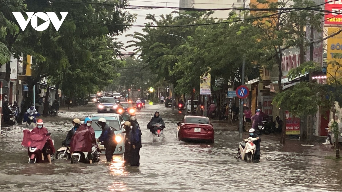 giai phap nao de chong ngap o vung tau hinh anh 2