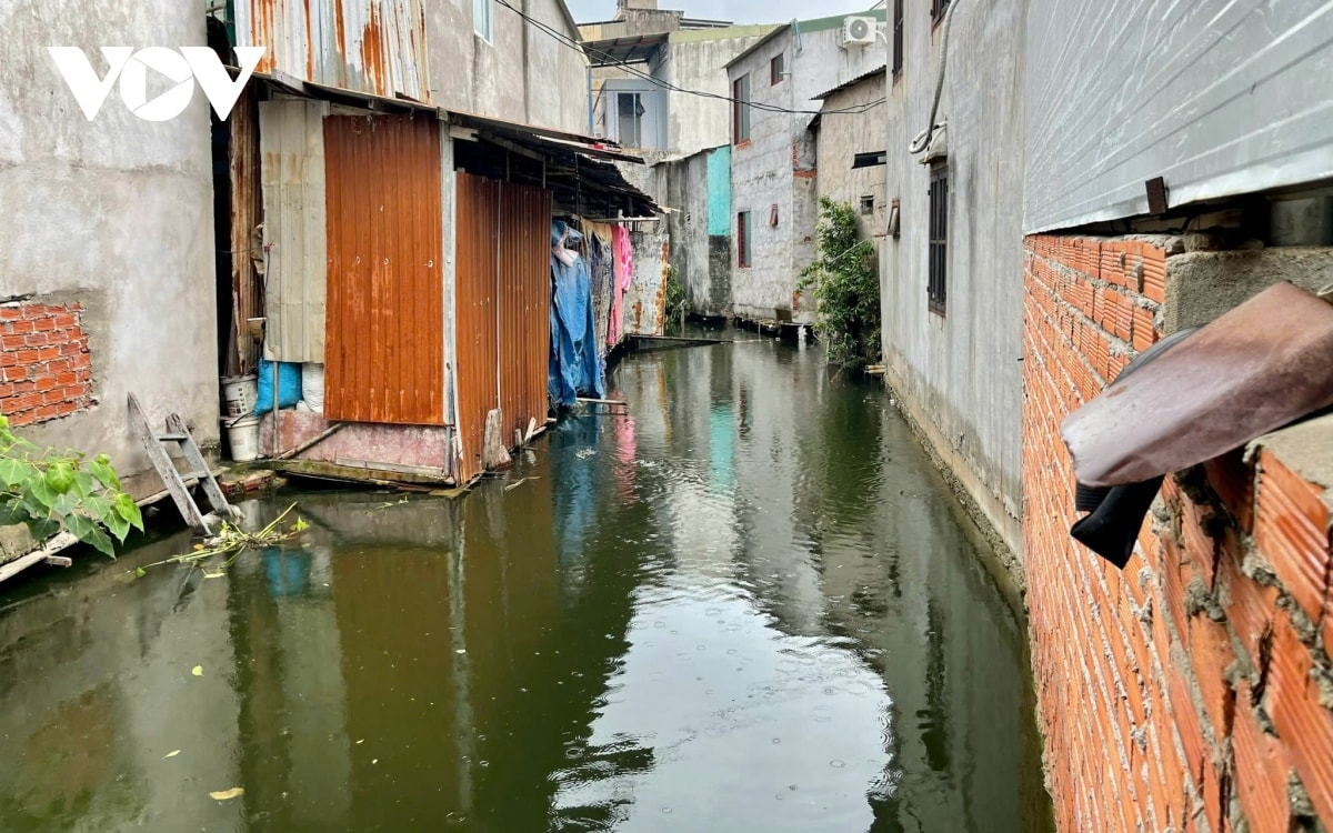 giai phap nao de chong ngap o vung tau hinh anh 6