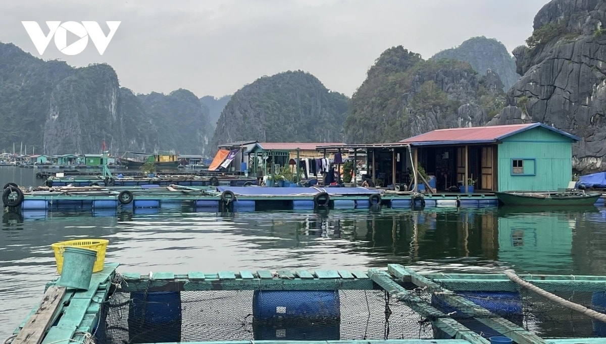 thu tuong chi dao day manh khoi phuc san xuat nong nghiep sau bao so 3 hinh anh 1