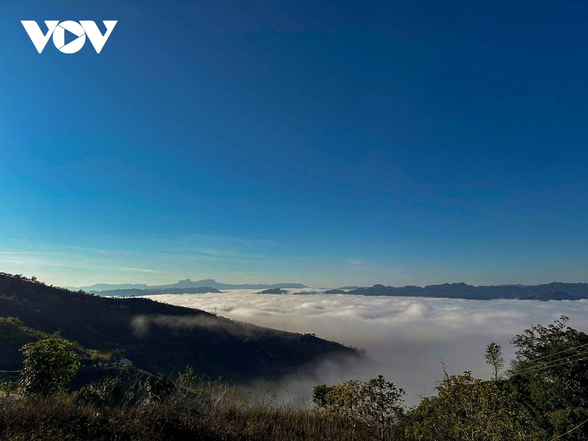 nhung ngay thanh binh cua cap doi sai gon giua nui rung ta so hinh anh 12