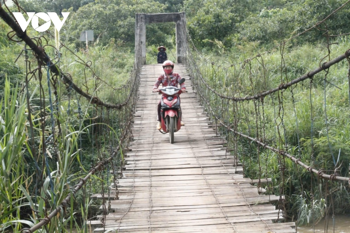 tai nan rinh rap tren nhung cay cau dan sinh xuong cap o Dak lak hinh anh 2