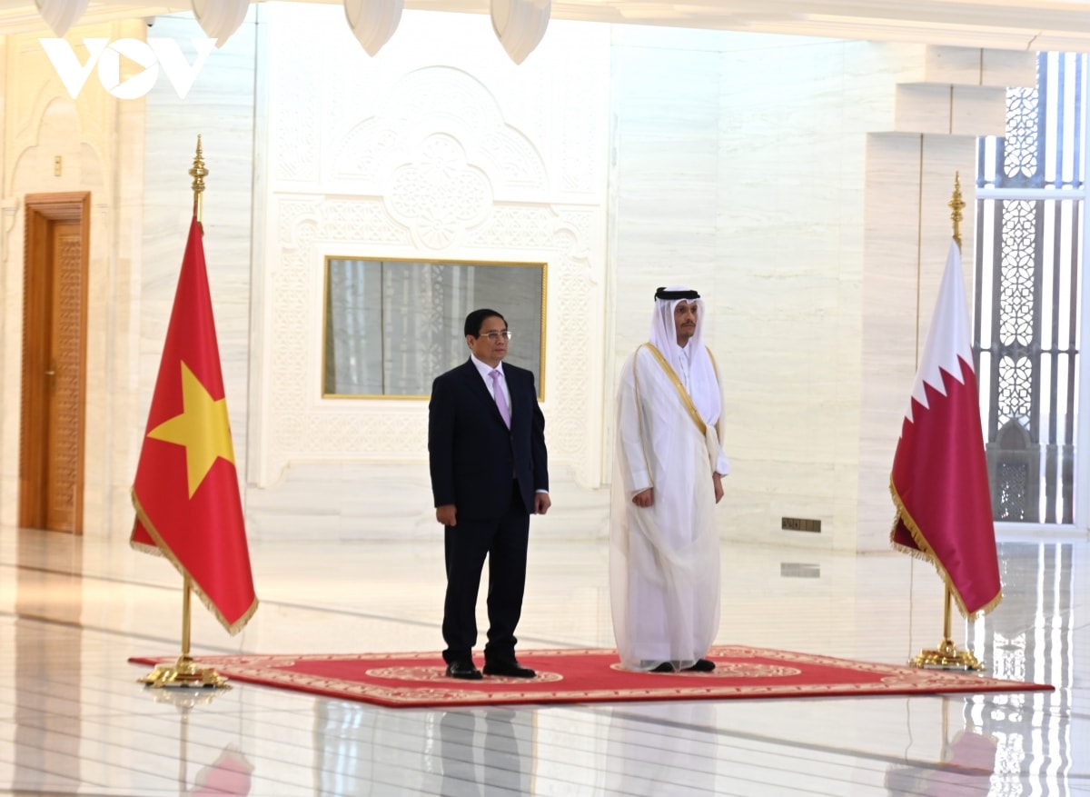 toan van thong cao chung viet nam - qatar hinh anh 1