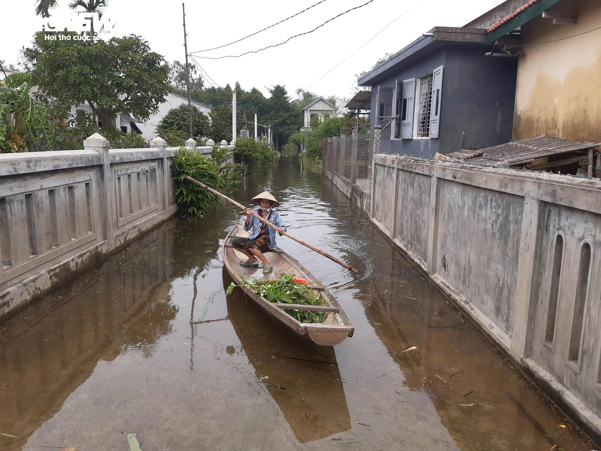 Mưa lớn ở Huế - Quảng Trị gây ngập úng, nguy cơ lũ chồng lũ - 2