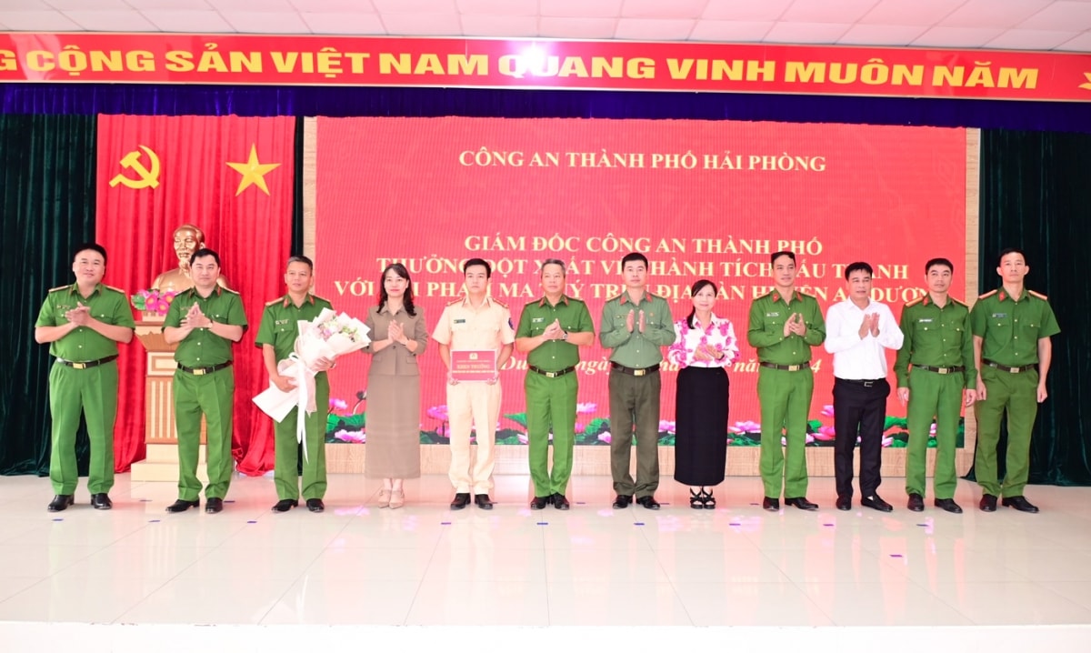 bat giu doi tuong van chuyen hon 2.000 vien ma tuy tong hop o hai phong hinh anh 1