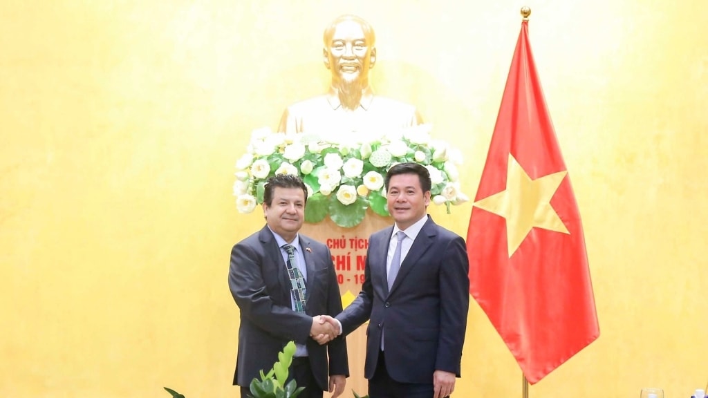 cung co va lam sau sac hon quan he doi tac toan dien viet nam - chile hinh anh 3