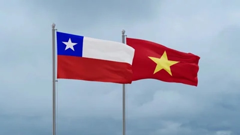 cung co va lam sau sac hon quan he doi tac toan dien viet nam - chile hinh anh 2