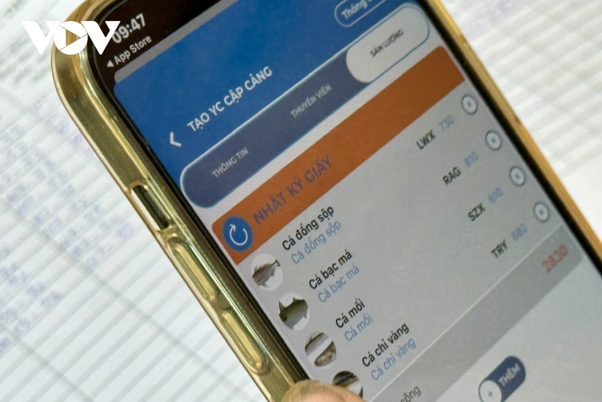 chuyển đổi số trong chống khai thác iuu ở bà rịa vũng tàu hình ảnh 1 chuyen doi so trong chong khai thac iuu o ba ria vung tau hinh anh 1
