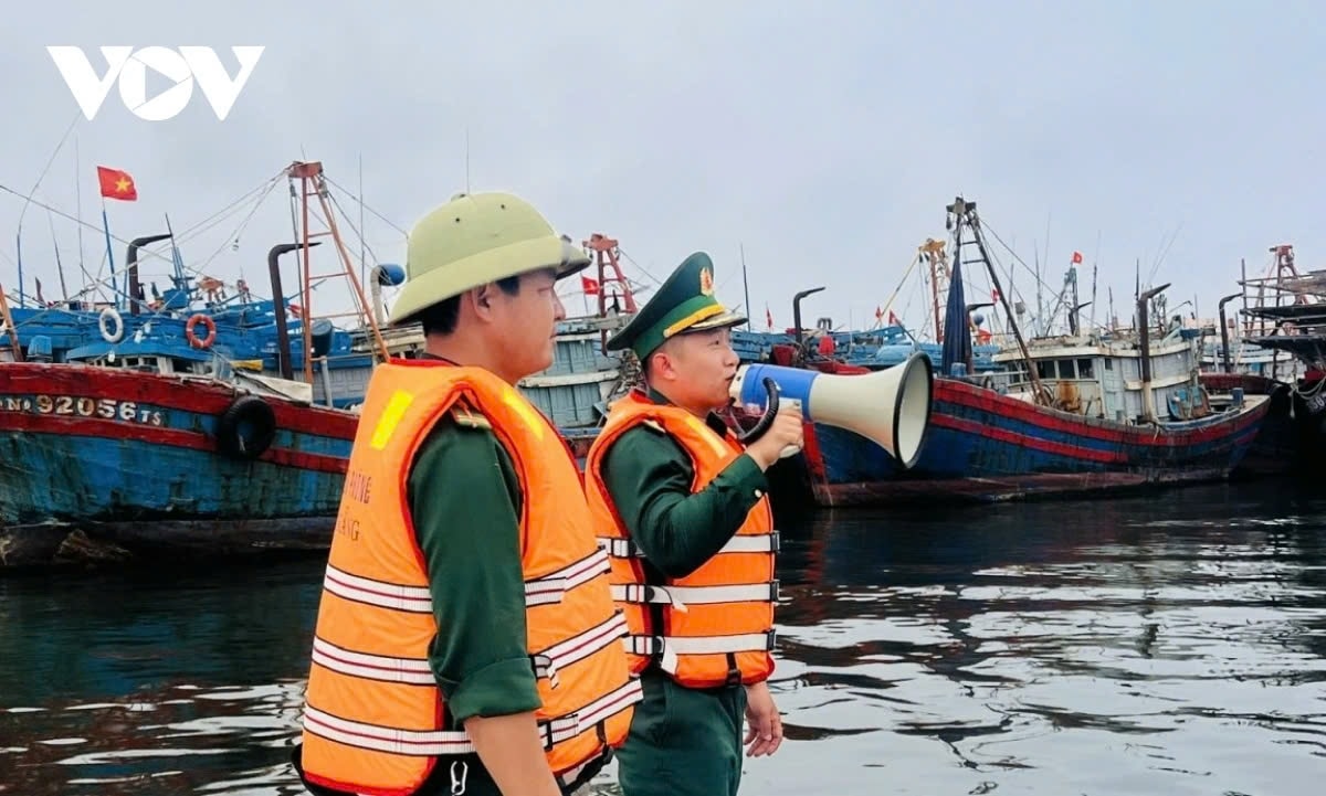 cac tinh tu quang ninh den binh Dinh chu dong ung pho voi bao so 8 hinh anh 1