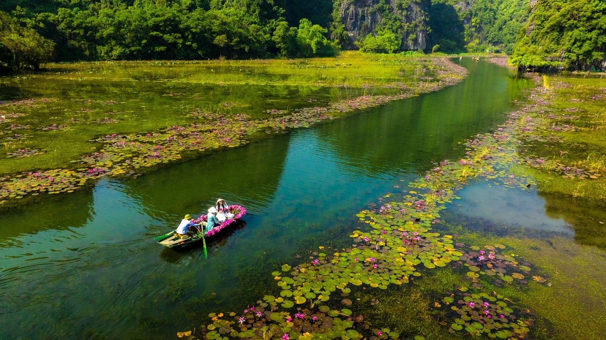 tam coc dep tinh khoi mua hoa sung no ro hinh anh 2