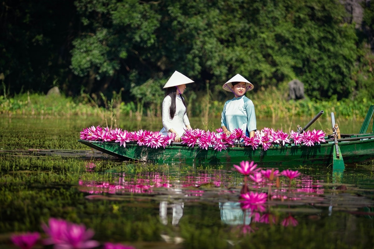 tam coc dep tinh khoi mua hoa sung no ro hinh anh 6