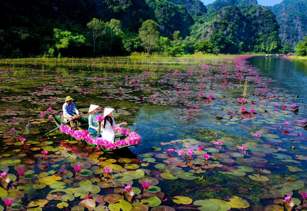 tam coc dep tinh khoi mua hoa sung no ro hinh anh 7