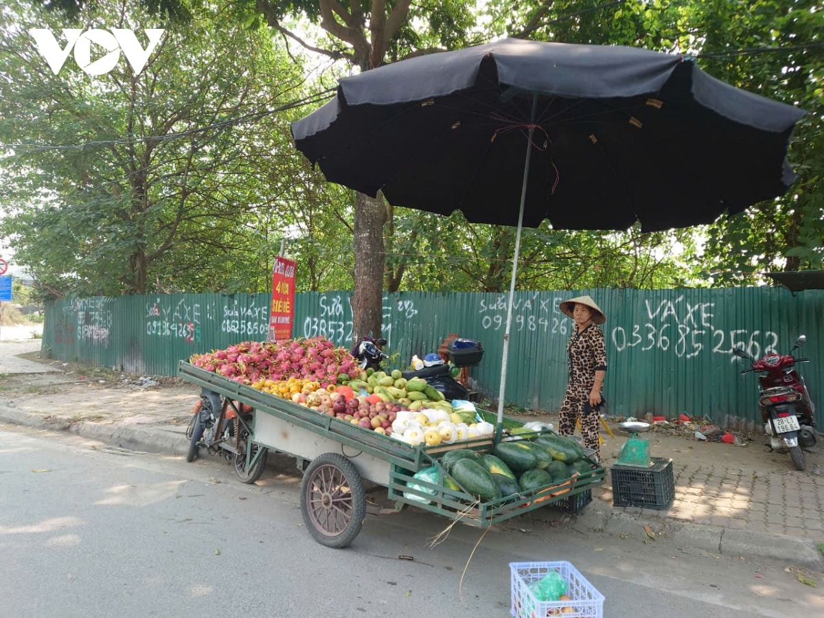 nhuc nhoi tinh trang ban hang rong bua vay Dai lo thang long hinh anh 8