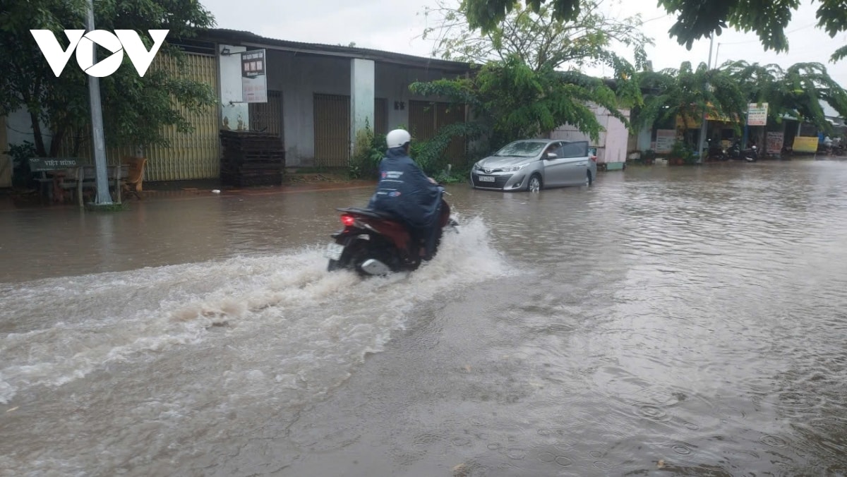 trieu cuong vuot bao dong 3, bac lieu trien khai nhieu bien phap ung pho hinh anh 1