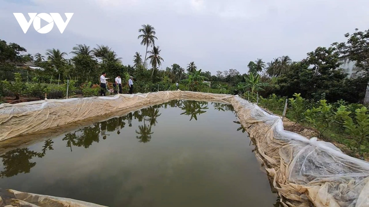 ben tre chu dong phong chong han man ngay tu mua mua hinh anh 3