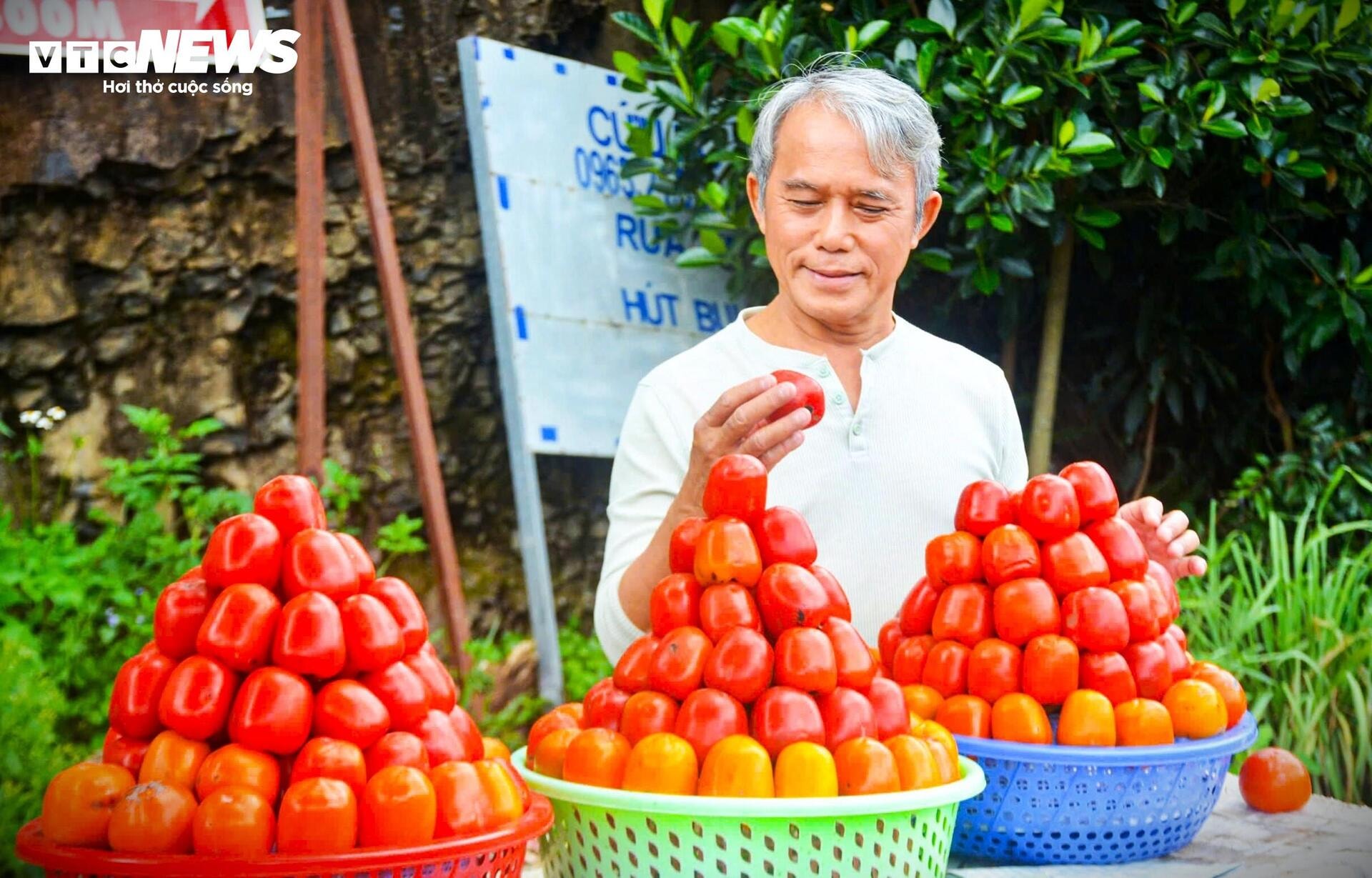 Mê mẩn mùa hồng chín rộ ở xứ sở sương mù Đà Lạt - 14