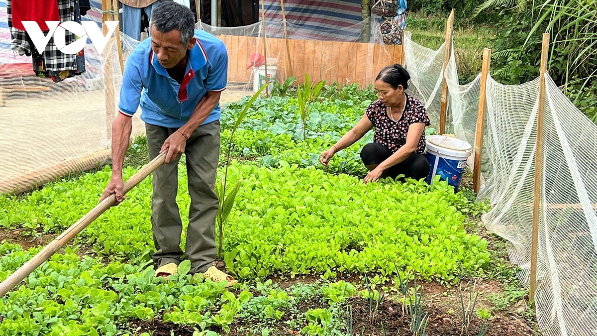 ban lang hoi sinh sau lu du hinh anh 3