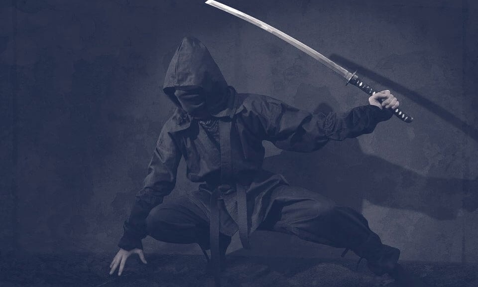 Ninjutsu không chỉ là môn võ chỉ có trong sách và phim ảnh. Đây là kỹ thuật được tạo ra để phục vụ mục đích ám sát, thiên về yếu tố nhanh và bất ngờ. Môn võ của Nhật Bản xếp thứ 10 trong danh sách.