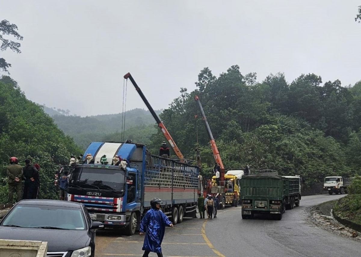 quảng bình xe tải chở 34 con bò lao xuống vực, tài xế tử vong hình ảnh 2 quang binh xe tai cho 34 con bo lao xuong vuc, tai xe tu vong hinh anh 2