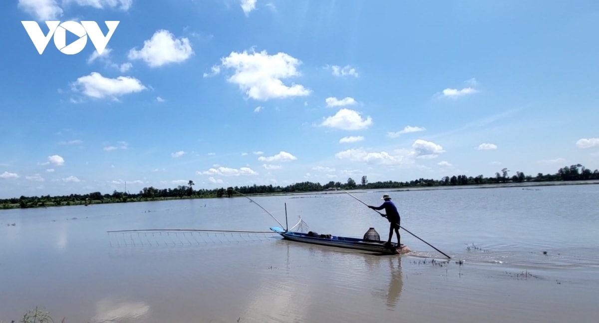 muu sinh cuoi mua nuoc noi hinh anh 7