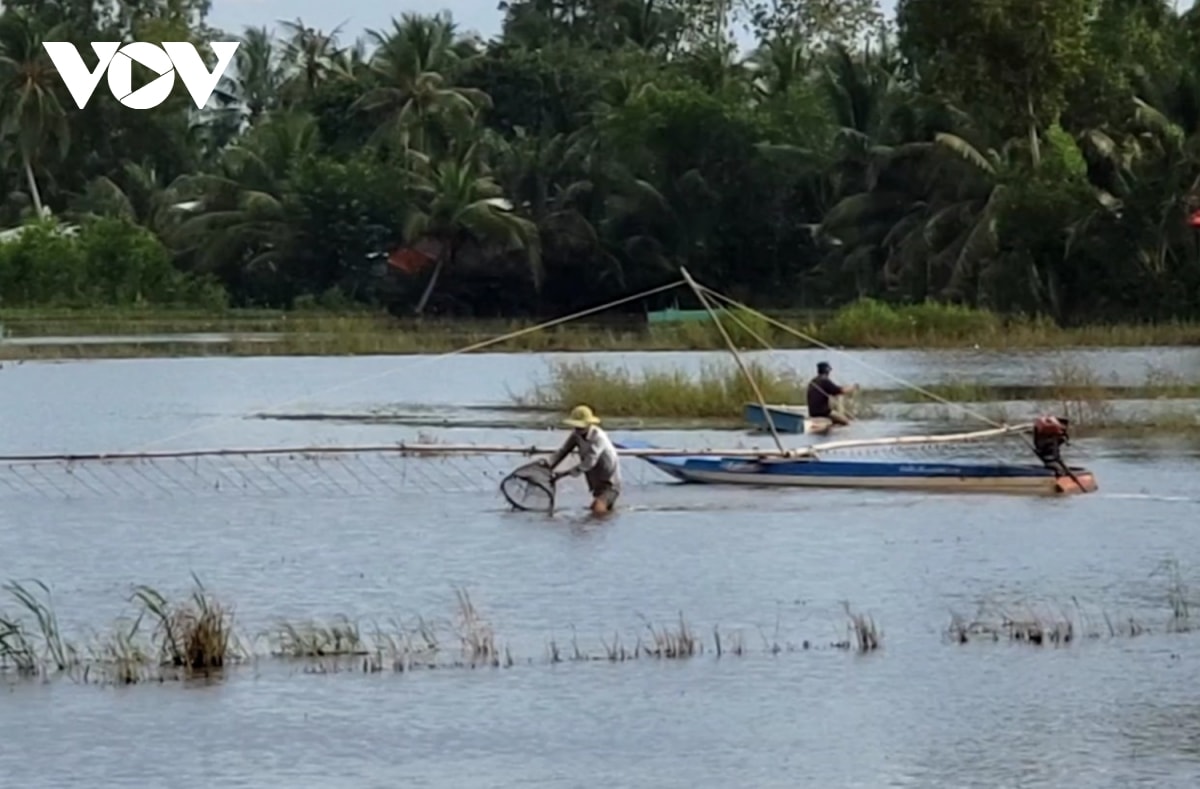 muu sinh cuoi mua nuoc noi hinh anh 8